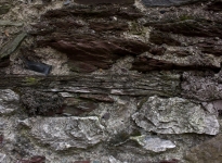 IMG_4750_GBC_1920x1280