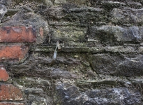 IMG_4900_GBC_1920x1280